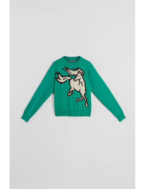 JERSEY CABALLO WILD AND FREE